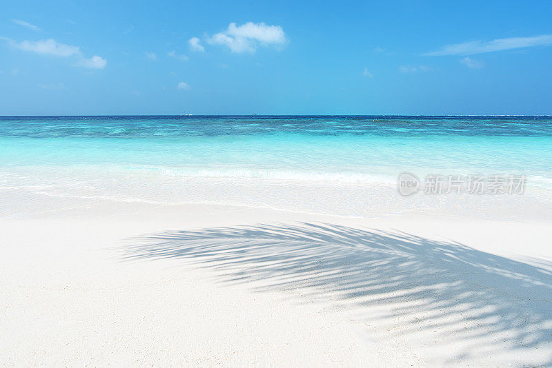 Exotic tropical white sand beach scene for background or wallpaper